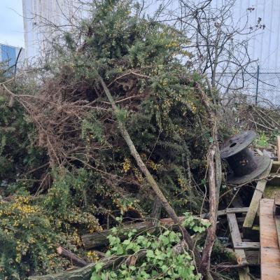 Ramassage dechets verts 1