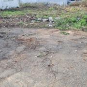 Ramassage dechets verts carquefou